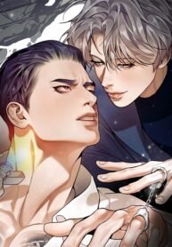 whatsapp image 2026 02 15 at 08.38.25